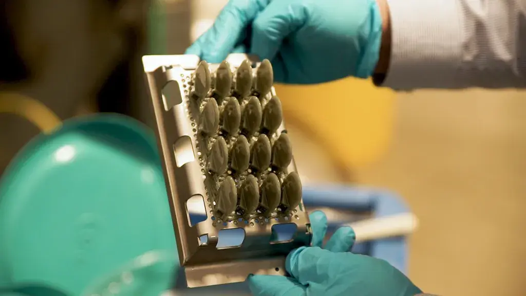 Figure 4 Standalone 打印零件的完整构建板