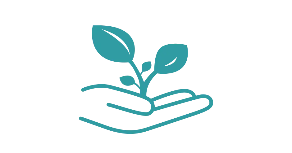 手握一颗小树的图片