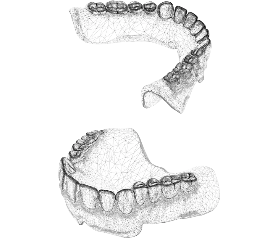 NextDent 生产 CAD 文件