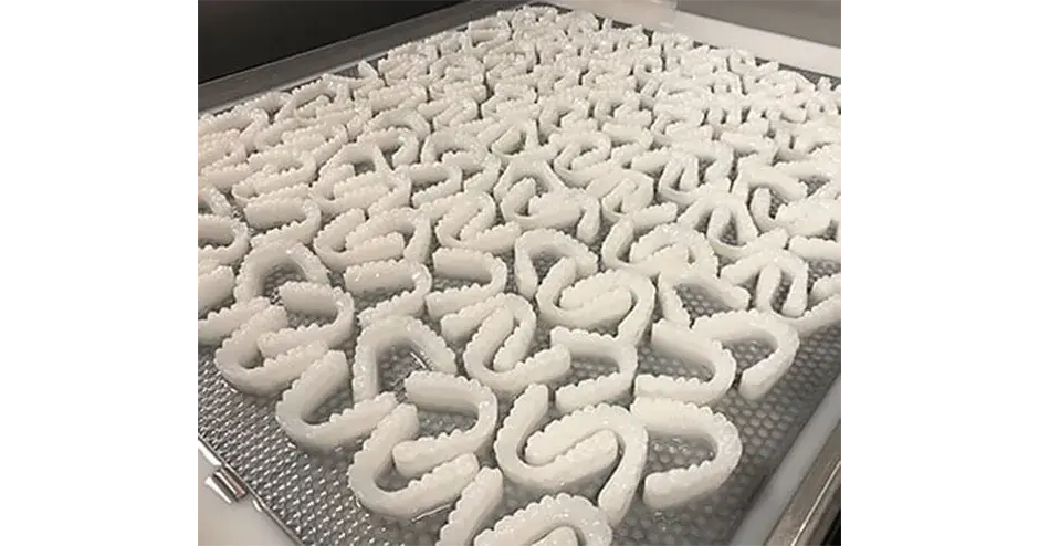 一托盘 3D 打印的牙科模具